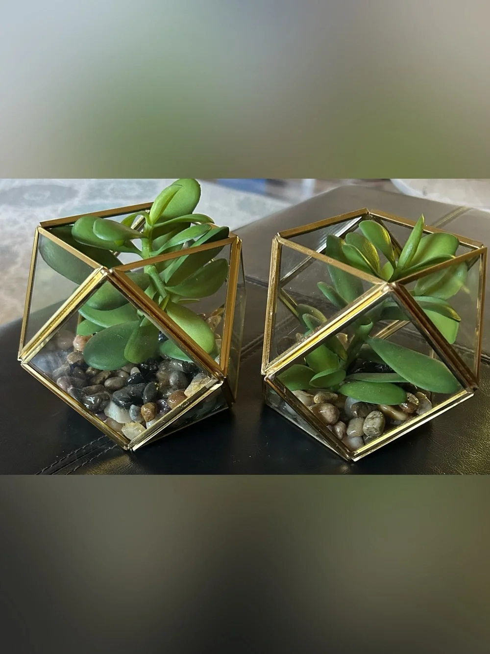 Opal House Gold Geometric Glass Terrarium Pair with Green Faux Succulents.